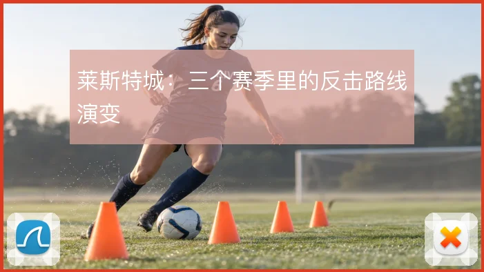 莱斯特城:三个赛季里的反击路线演变
