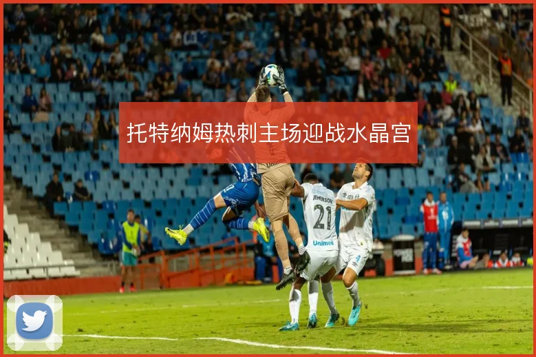 托特纳姆热刺主场迎战水晶宫