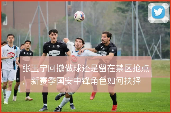 张玉宁回撤做球还是留在禁区抢点,新赛季国安中锋角色如何抉择