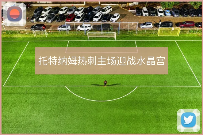 托特纳姆热刺主场迎战水晶宫
